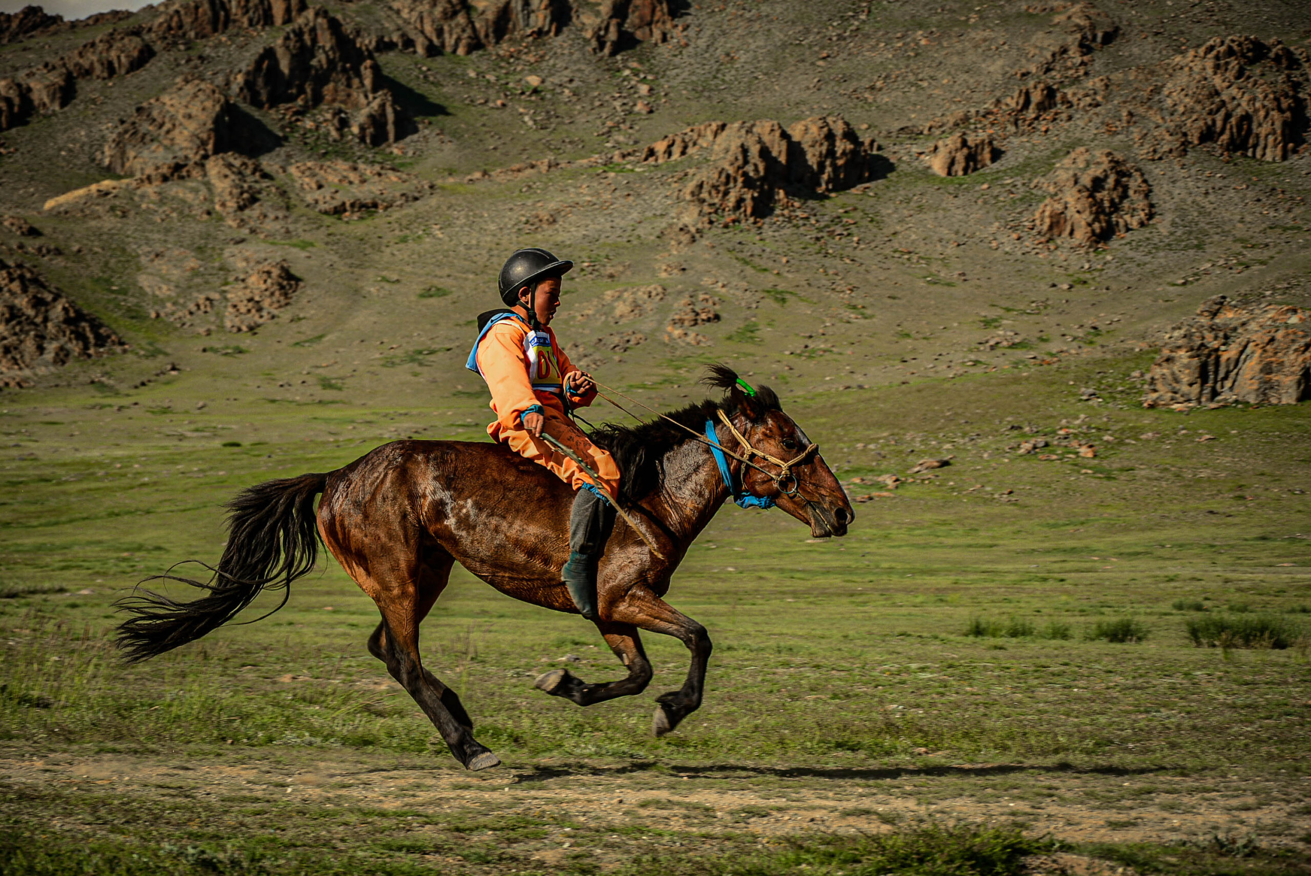 Mongolian Long-distance horse racing